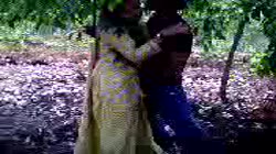 Bangladeshi Forest Fun