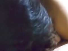 Indian Sucking Cock With Cumshot